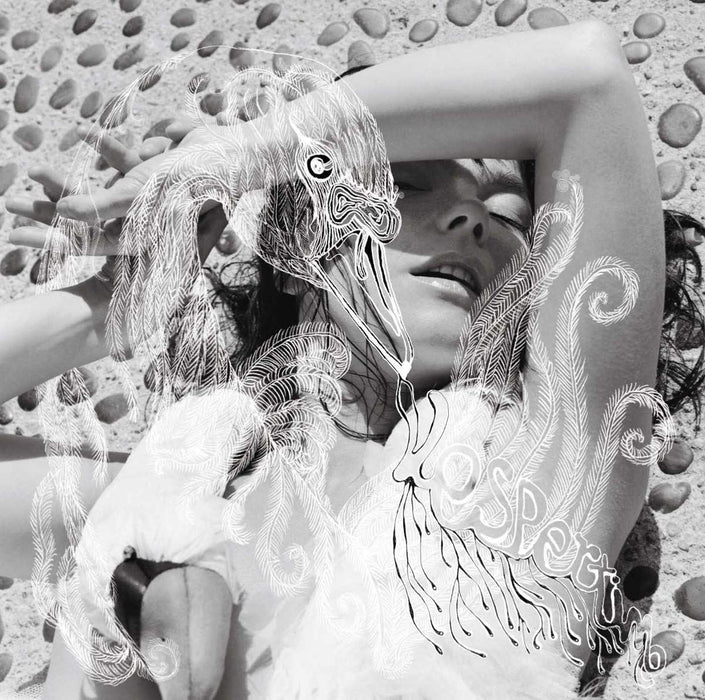 Bjork - Vespertine - [Vinyl]