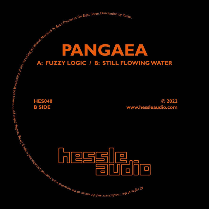 Pangaea - Fuzzy Logic / Still Flowing Water - [Vinyl]