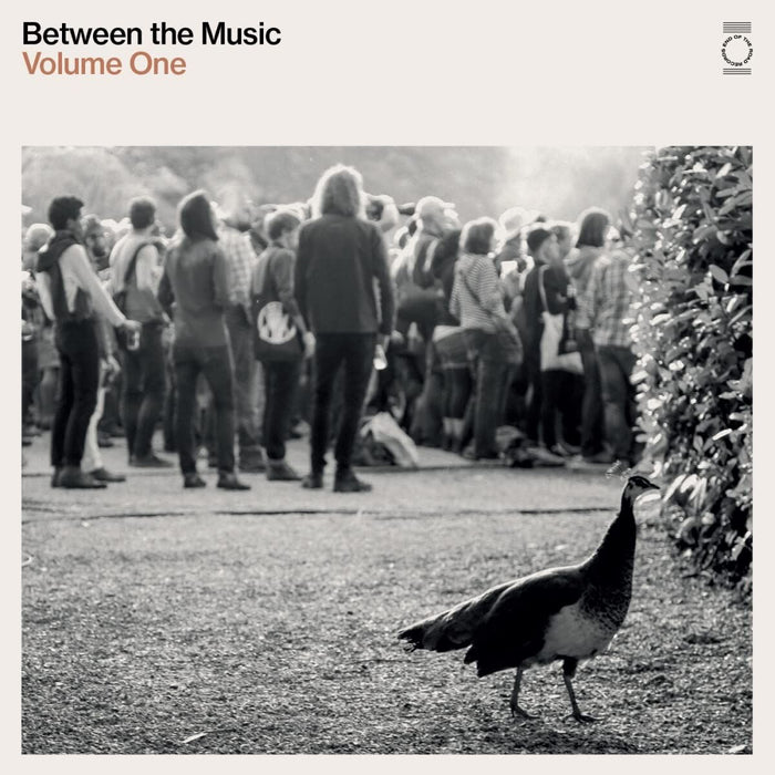 Various Artists - End Of The Road Presents: Between The Music - [Vinyl]