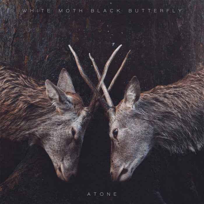 White Moth Black Butterfly - Atone - [Vinyl]