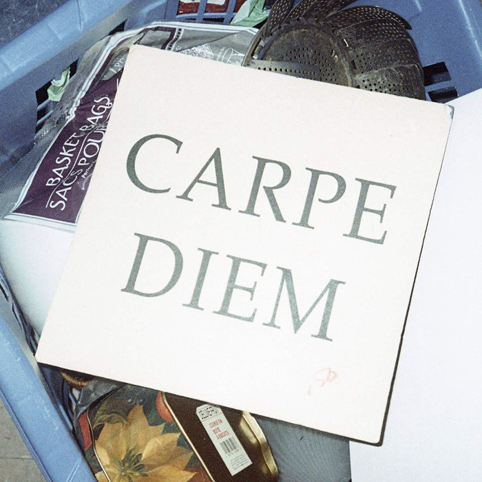 Walter Tv - Carpe Diem - [Vinyl]