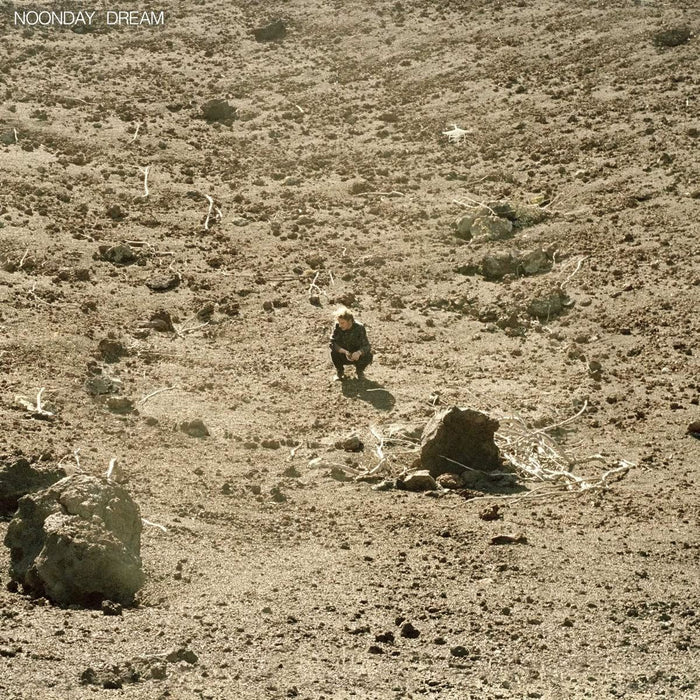 Ben Howard - Noonday Dream - [Vinyl]