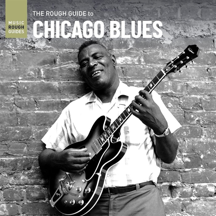 Various Artists - The Rough Guide To Chicago Blues - [Vinyl]