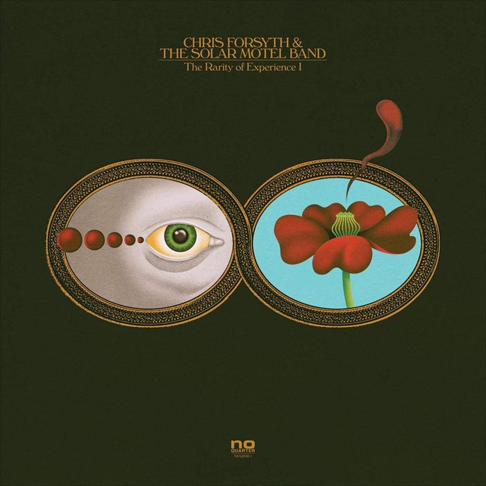 Chris Forsyth & Koen Holtkamp - The Rarity Of Experience Pts. I & Ii - [Vinyl]