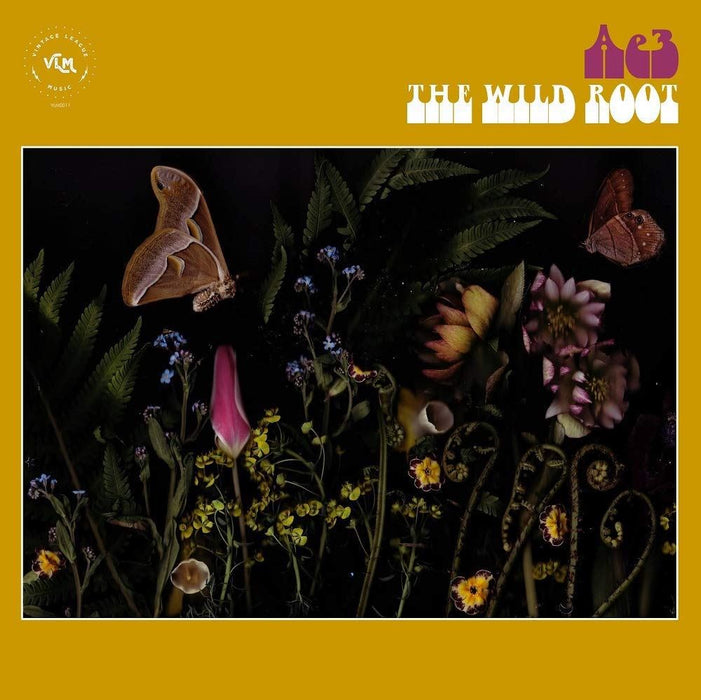 Ae3 (Alan Evans Trio) - The Wild Root - [Vinyl]