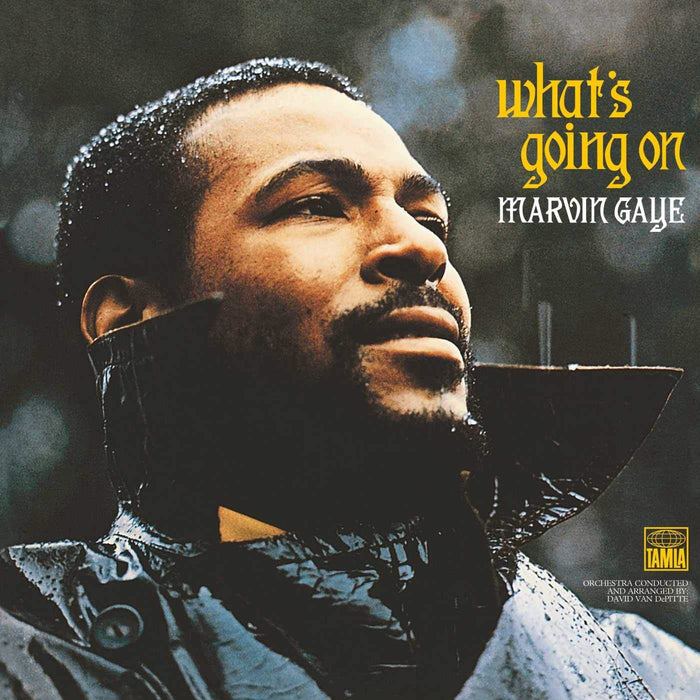 Marvin Gaye - Whats Going On - [Vinyl]