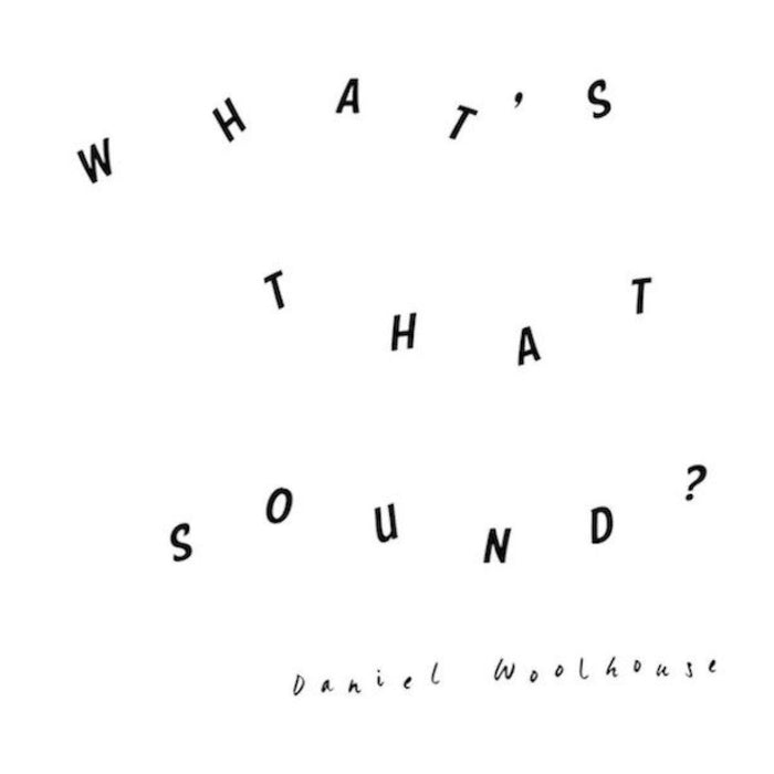 Daniel Woolhouse - Whats That Sound - [Vinyl]