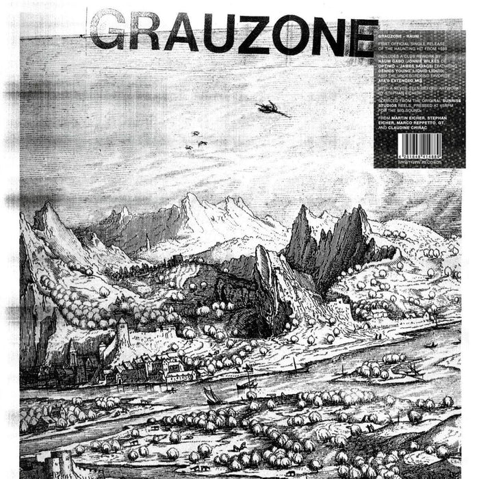 Grauzone - Raum - [Vinyl]