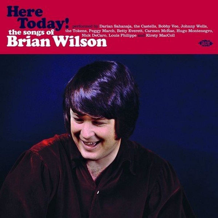 Various Artists - Here Today! The Songs Of Brian Wilson - [Vinyl]