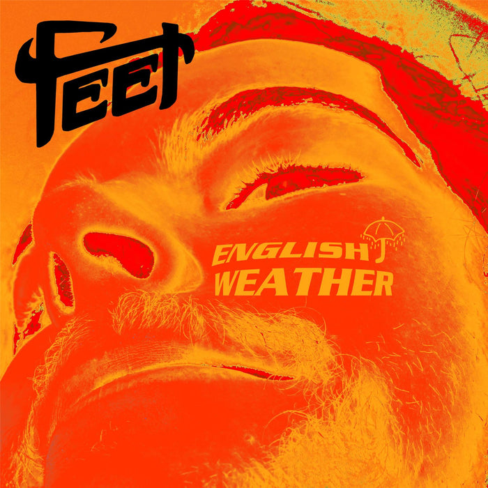 Feet - English Weather (Picture Disc) - [Vinyl]