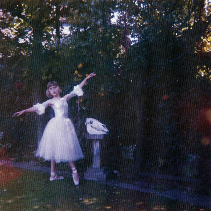 Wolf Alice - Visions Of A Life - [Vinyl]