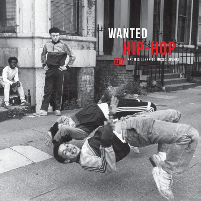 Various Artists - Wanted Hip-Hop - [Vinyl]