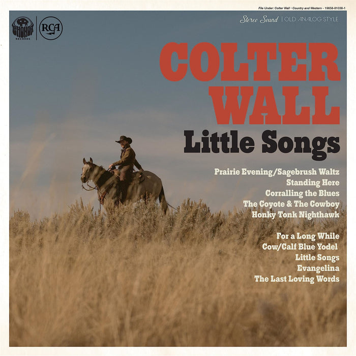 Colter Wall - Little Songs (Blue Vinyl) - [Vinyl]