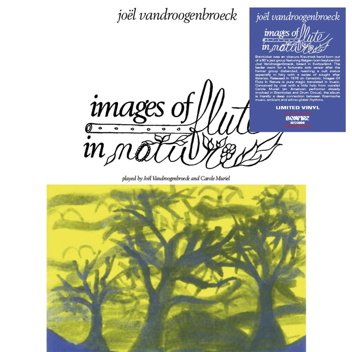 Joel Vandroogenbroeck - Images Of Flute In Nature - [Vinyl]