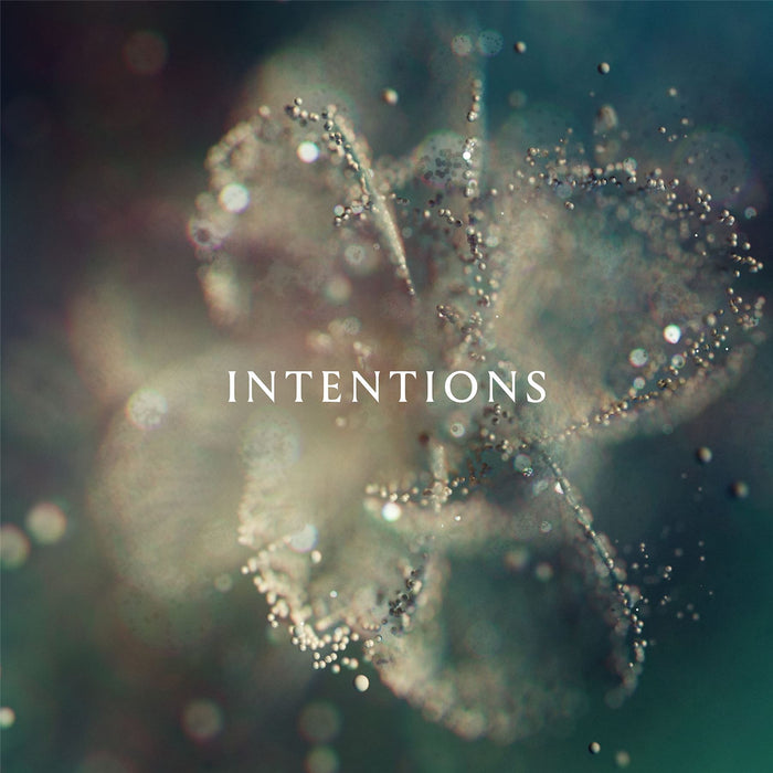 Anna - Intentions - [Vinyl]