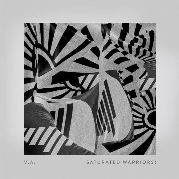 Various Artists - Saturated Warriors! - [Vinyl]