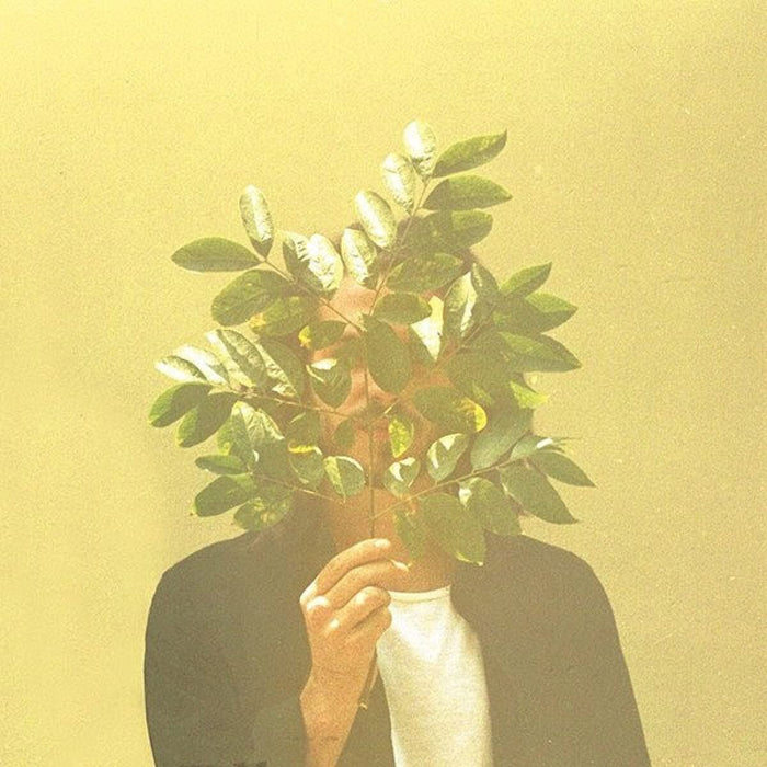 Fkj - French Kiwi Juice - [Vinyl]