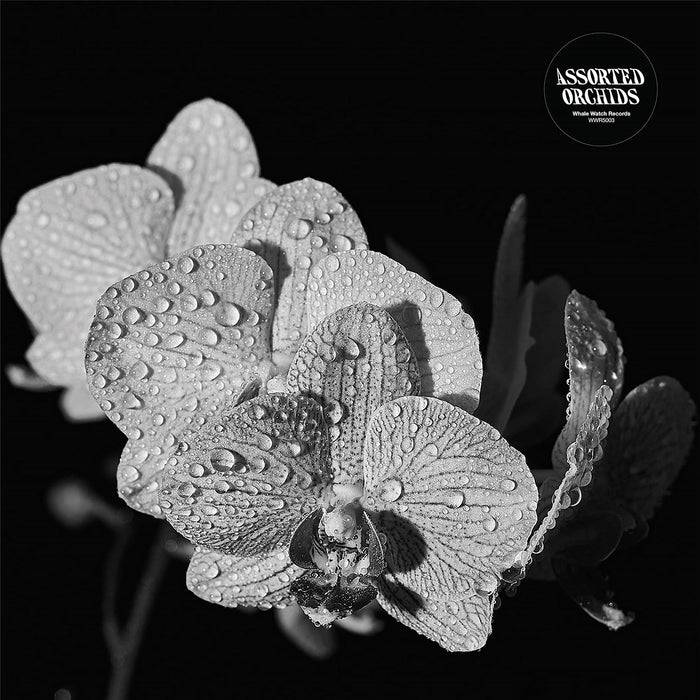 Assorted Orchids - Assorted Orchids - [Vinyl]