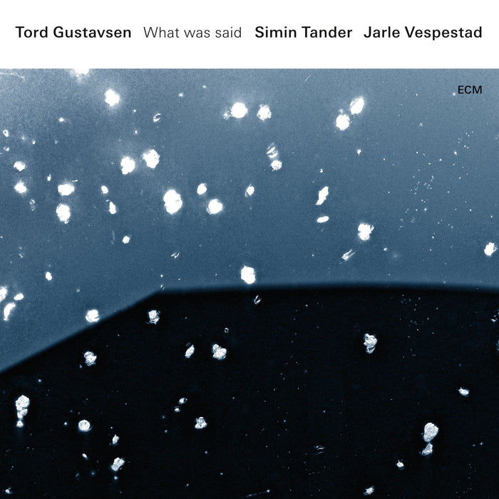 Tord Gustavsen / Simin Tander & Jarle Vespestad - What Was Said - [Vinyl]