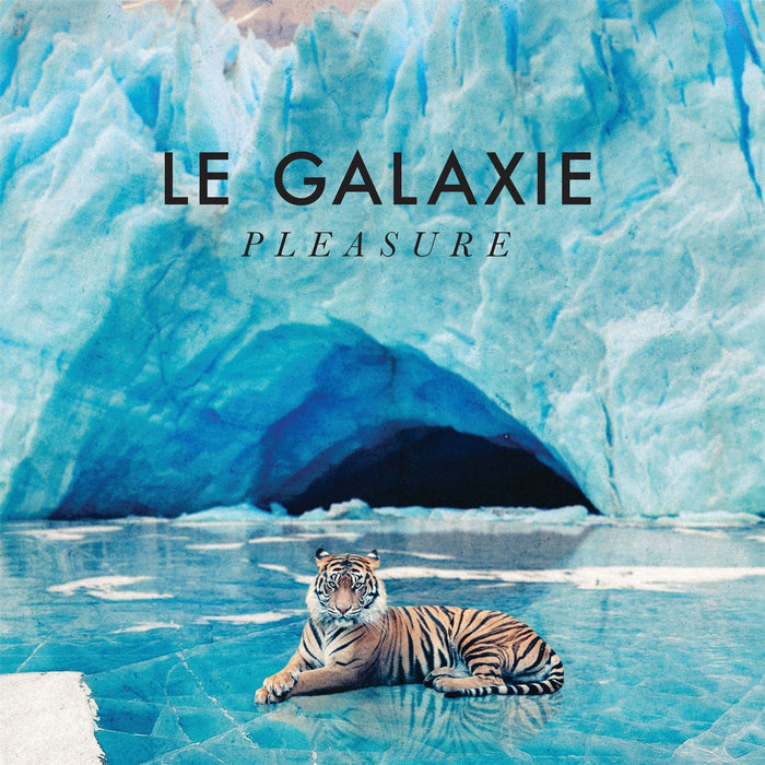 Le Galaxie - Pleasure - [Vinyl]