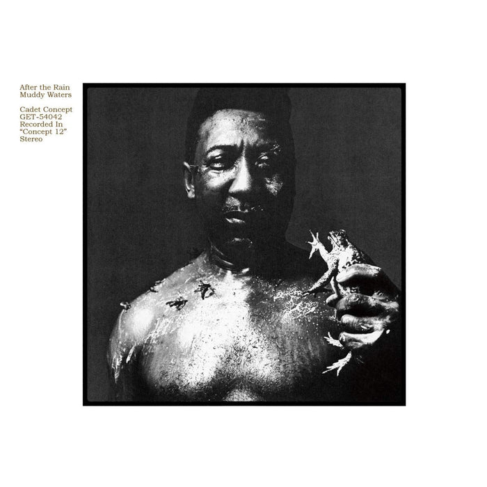 Muddy Waters - After The Rain - [Vinyl]