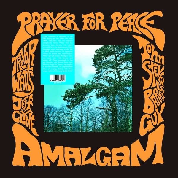 Amalgam - Prayer For Peace - [Vinyl]