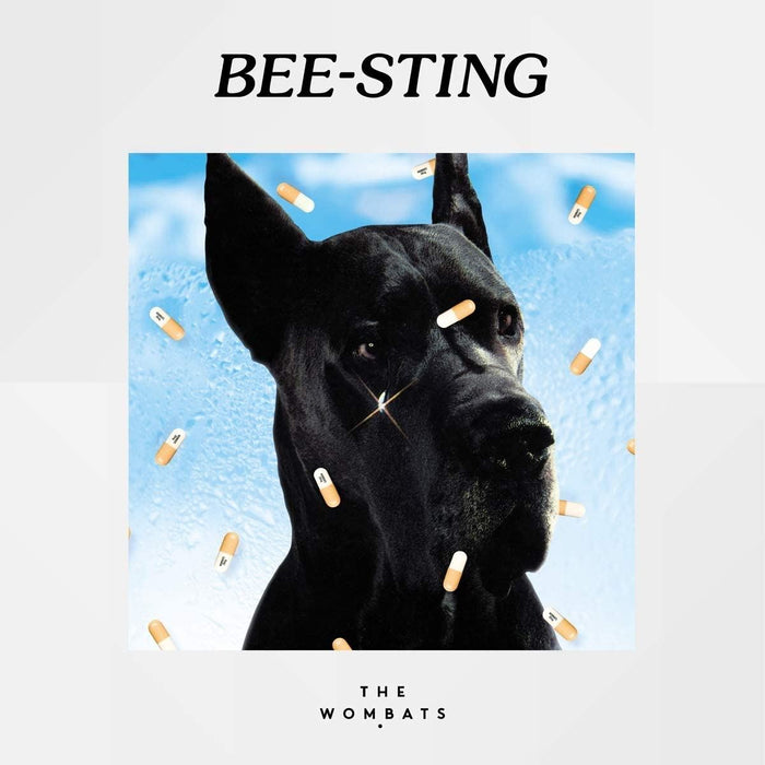 Wombats - Bee-Sting - [Vinyl]