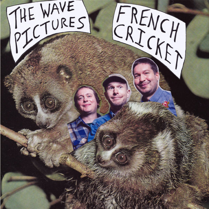 Wave Pictures - French Cricket - [Vinyl]