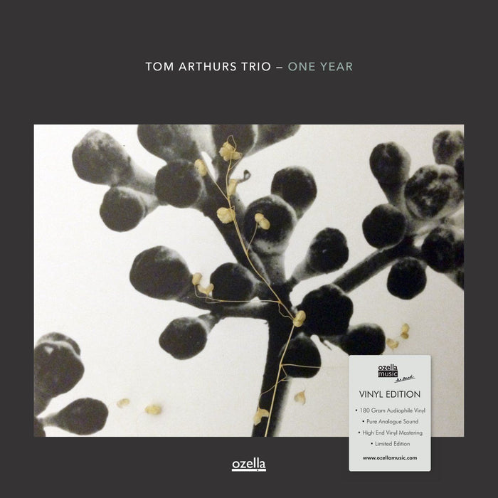 Tom Arthurs Trio - One Year - [Vinyl]