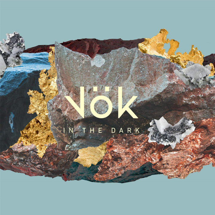 Vok - In The Dark - [Vinyl]