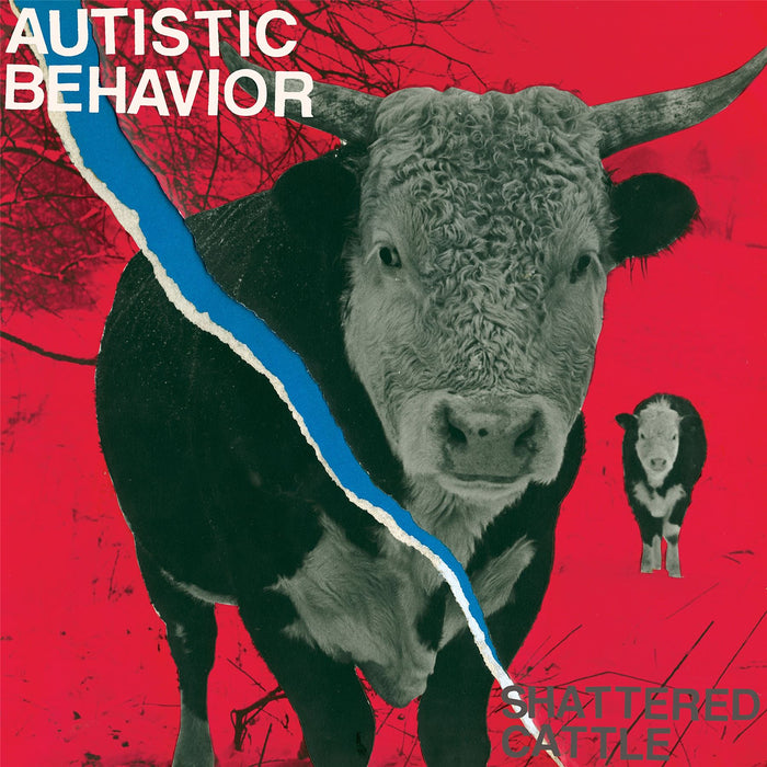 Autistic Behavior - Shattered Cattle - [Vinyl]