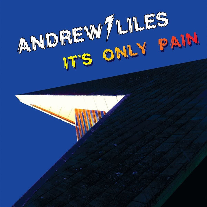 Andrew Liles - Its Only Pain - [Vinyl]