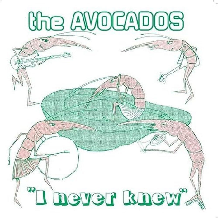 Avocados - I Never Knew - [Vinyl]