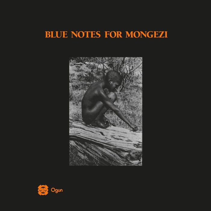 Blue Notes - Blue Notes For Mongezi - [Vinyl]