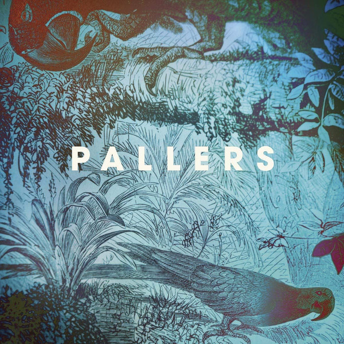 Pallers - The Sea Of Memories - [Vinyl]