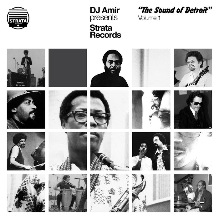 Various Artists - Dj Amir Presents Strata Records-The Sound Of Detroit Volume 1 - [Vinyl]