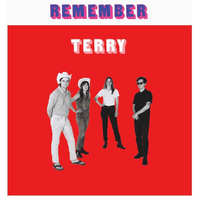 Terry - Remember Terry - [Vinyl]