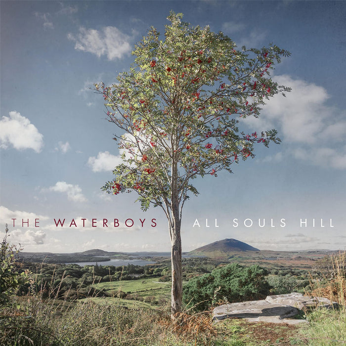 Waterboys - All Souls Hill - [Vinyl]