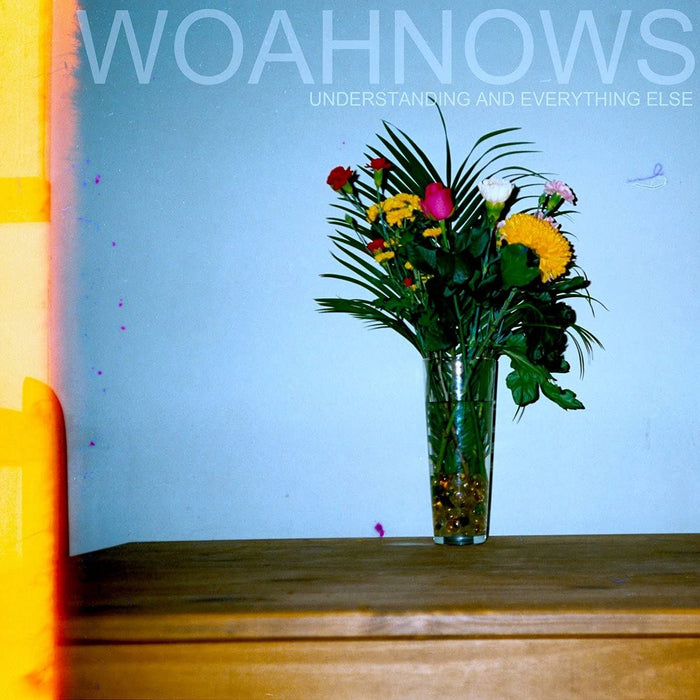 Woahnows - Understanding And Everything Else - [Vinyl]