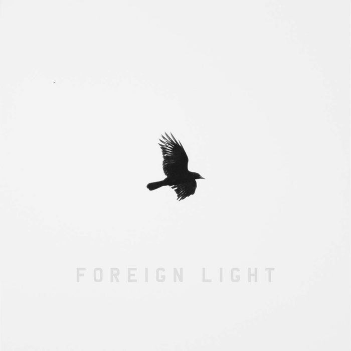 Toddla T - Foreign Light - [Vinyl]