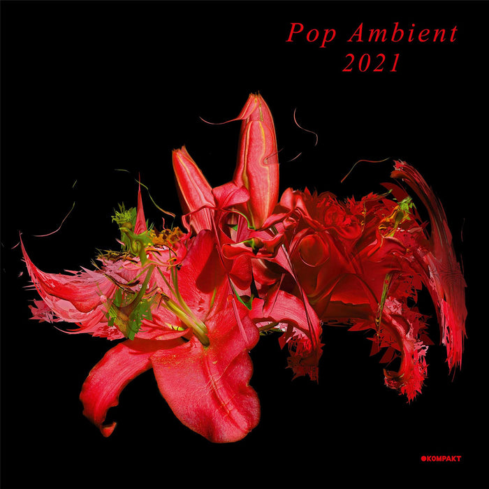 Various Artists - Pop Ambient 2021 - [Vinyl]