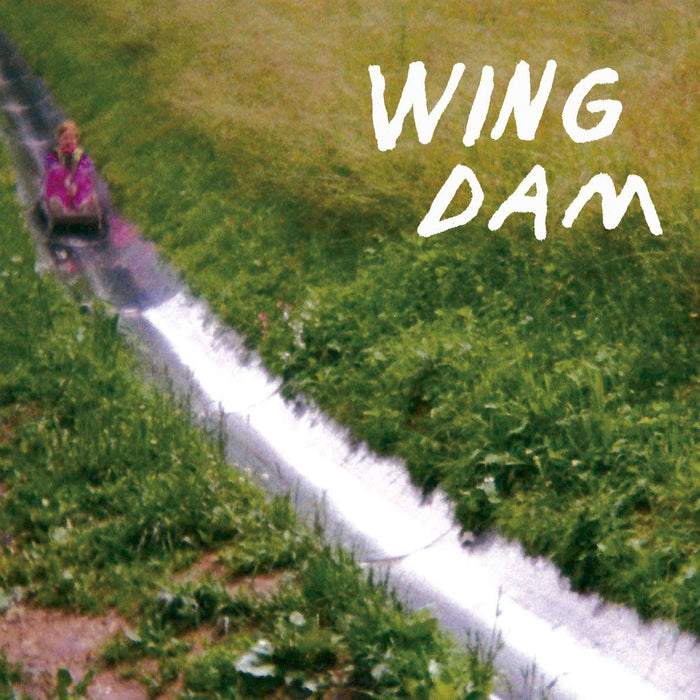 Wing Dam - Glow Ahead - [Vinyl]