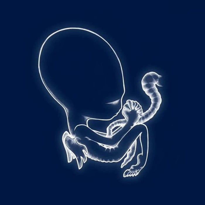 Sigur Ros - Agatis Byrjun - [Vinyl]