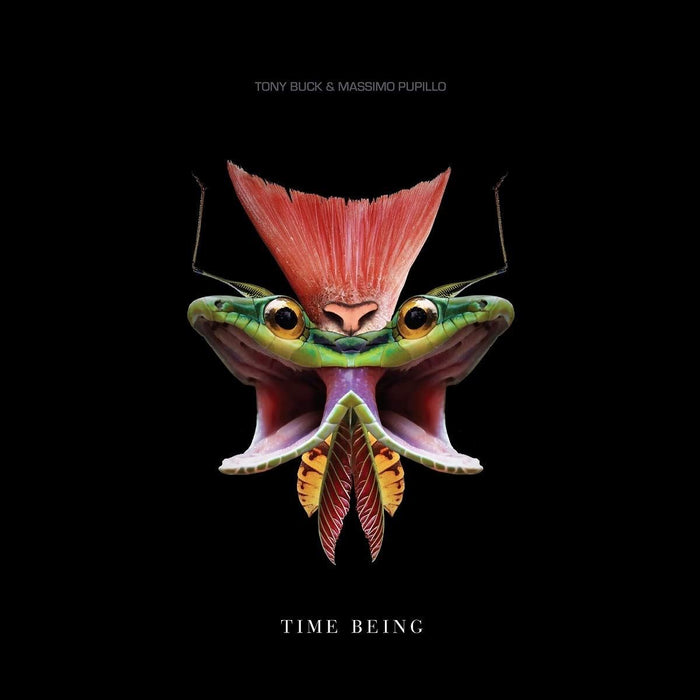 Tony Buck And Massimo Pupillo - Time Being Lp - [Vinyl]