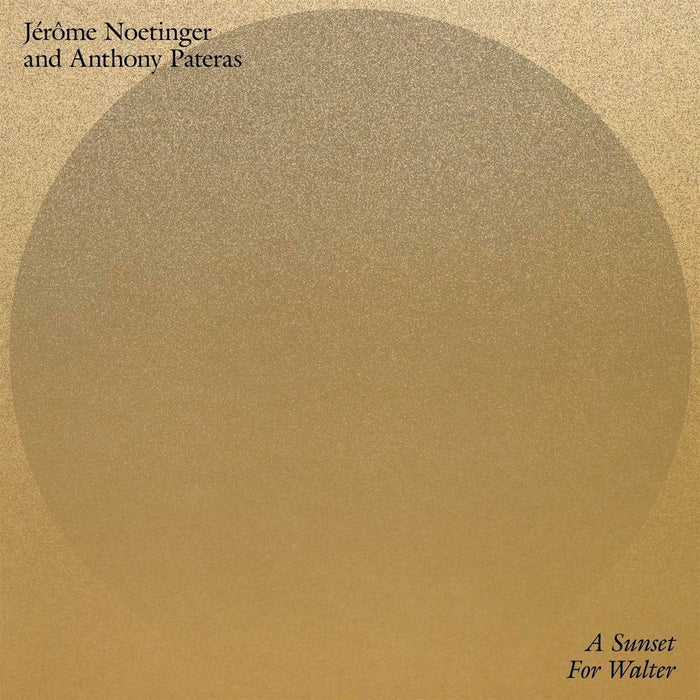 Jerome Noetinger & Anthony Pateras - A Sunset For Walter - [Vinyl]