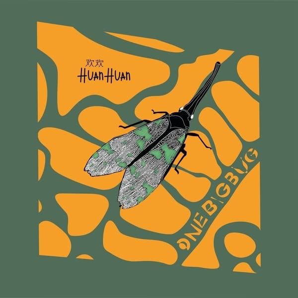 Huan Huan - One Big Bug - [Vinyl]