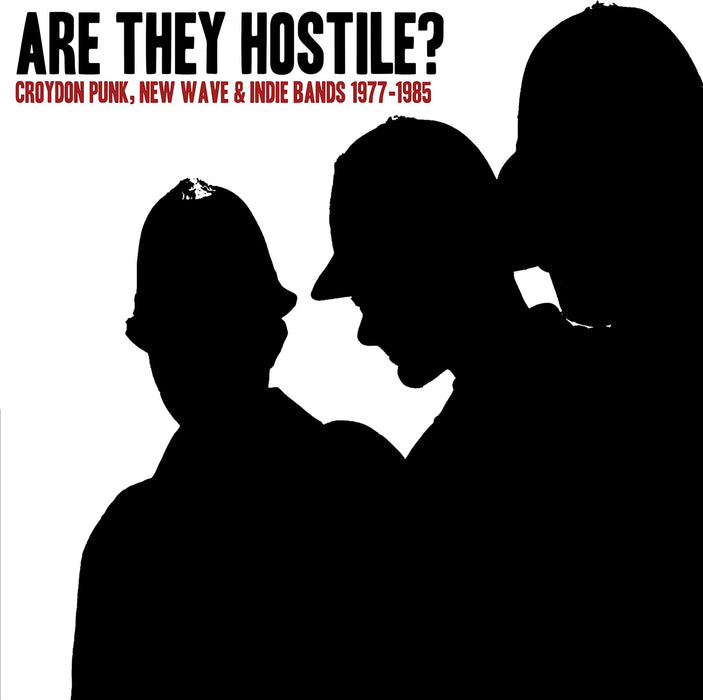 Various Artists - Are They Hostile? Croydon Punk / New Wave & Indie Bands 1977-1985 - [Vinyl]