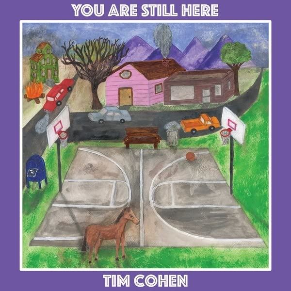 Tim Cohen - You Are Still Here - [Vinyl]