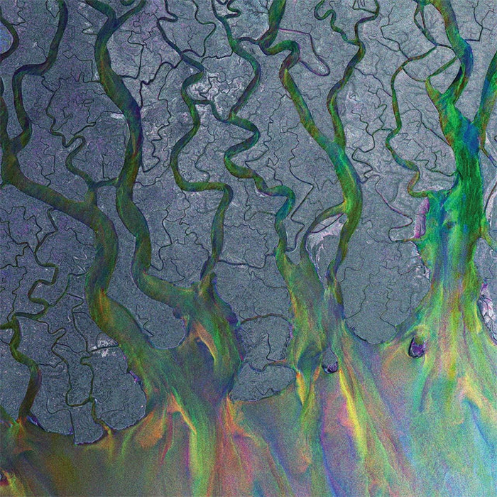 Alt-J - An Awesome Wave (Limited Fern Green Vinyl) (National Album Day) - [Vinyl]